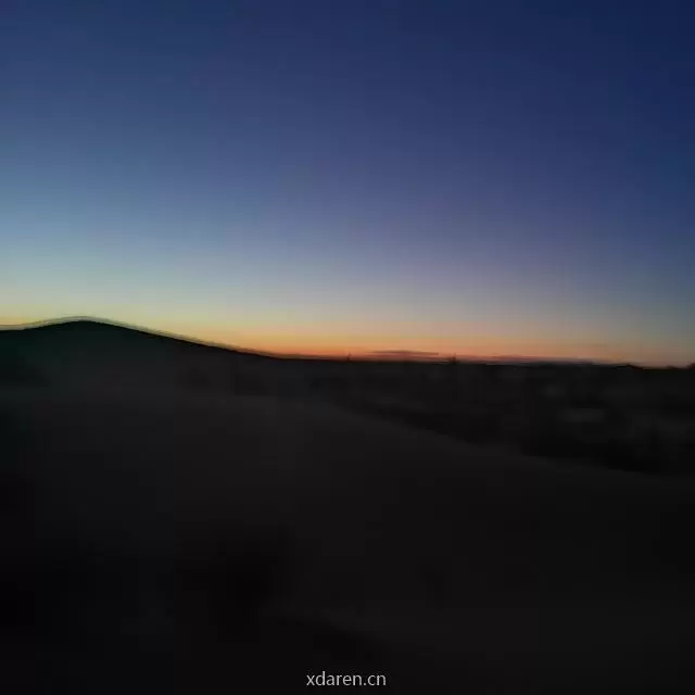 挚友读文