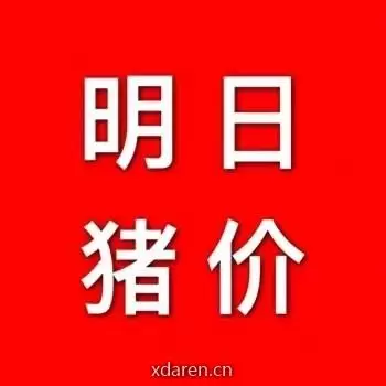 天天I猪价
