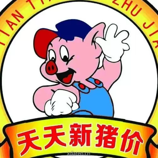 猪价一线