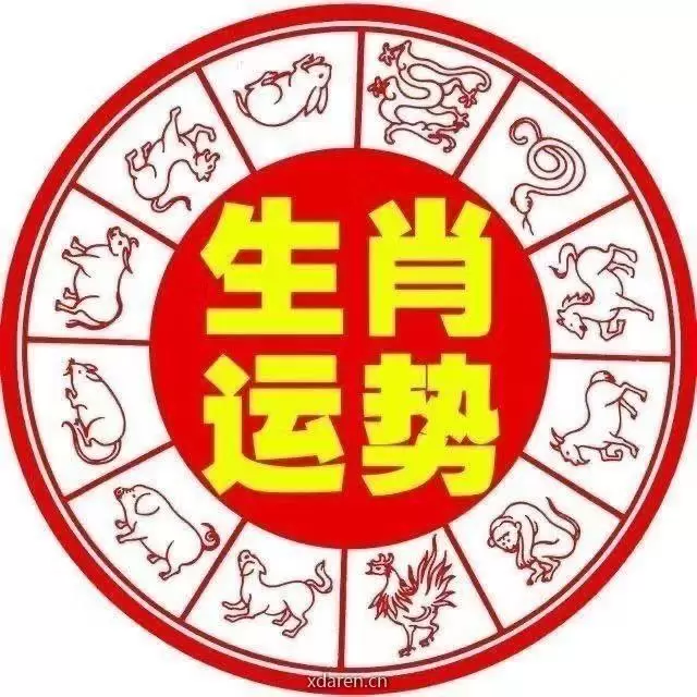 十二生肖运势解析