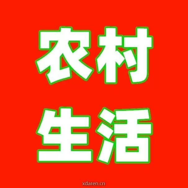 农村生活专栏