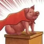 明天查猪价