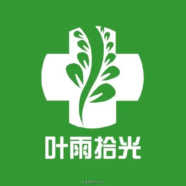 叶雨拾光