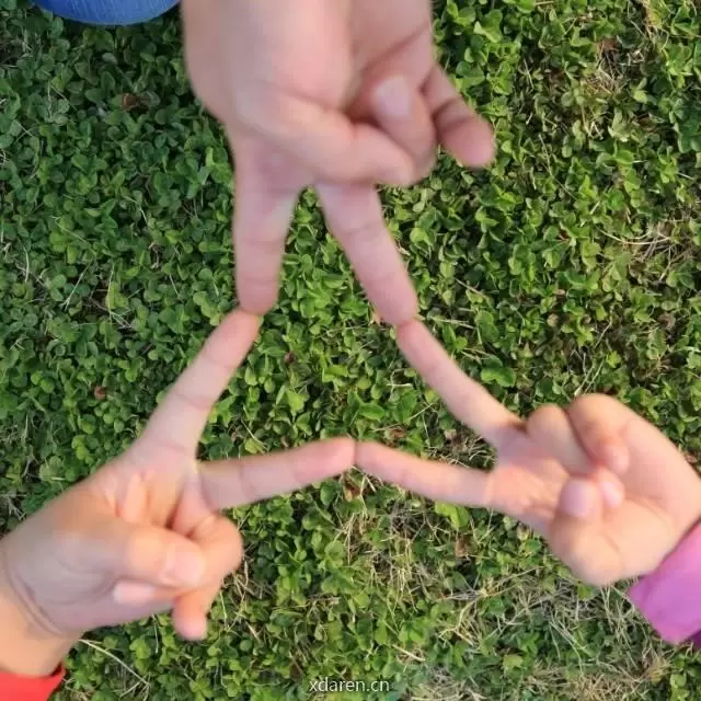 麦苗家的麦田