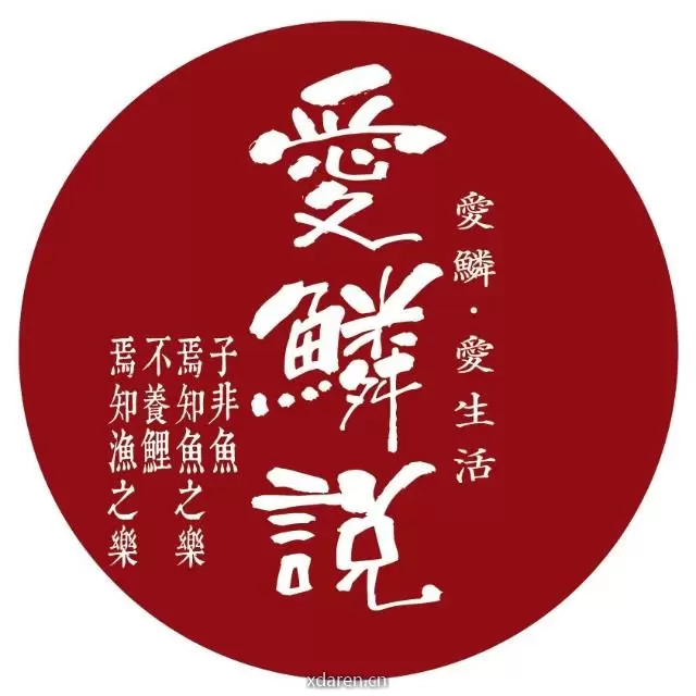 爱鳞说