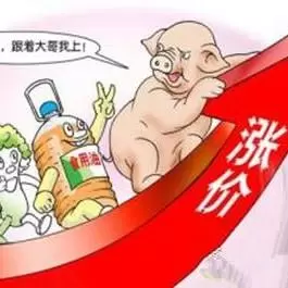 猪价I查询