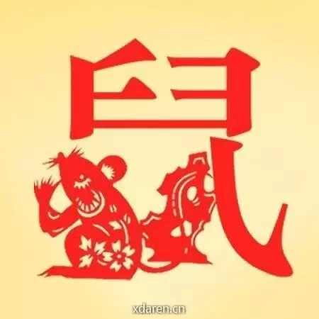 属鼠运程分析