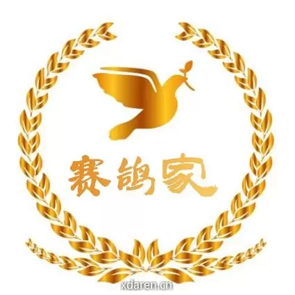 赛鸽家
