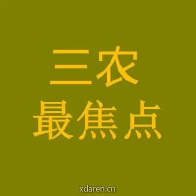 三农最焦点