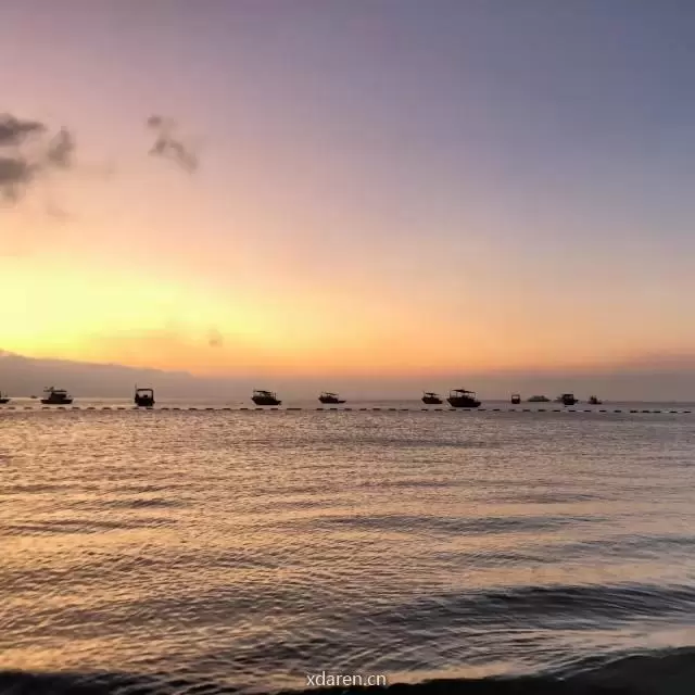 Ocean的农业国际频道