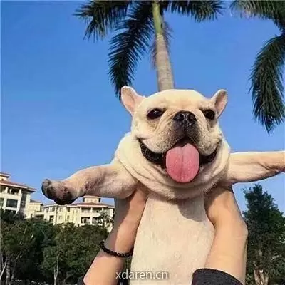 热门搞笑坊