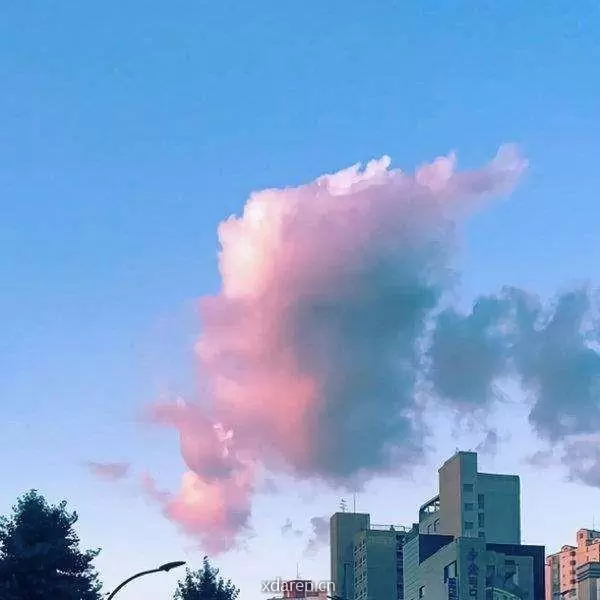 爱生活学习趣味集