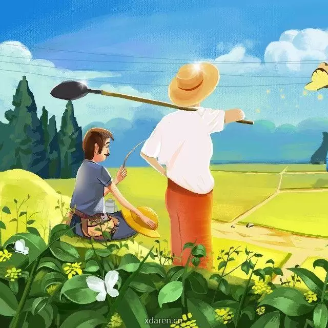 农村生活科普