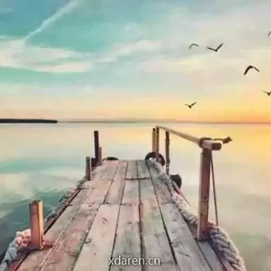 码头青年