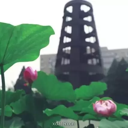 公费师范生