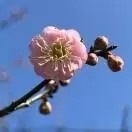 携手考教师
