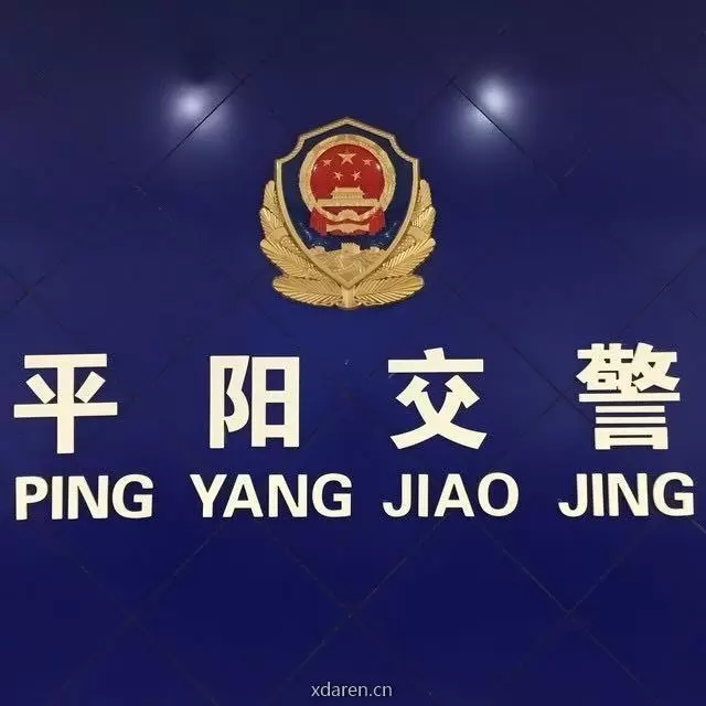 平阳交警