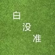 白没准