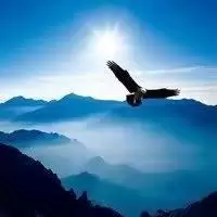 乾佬淘金