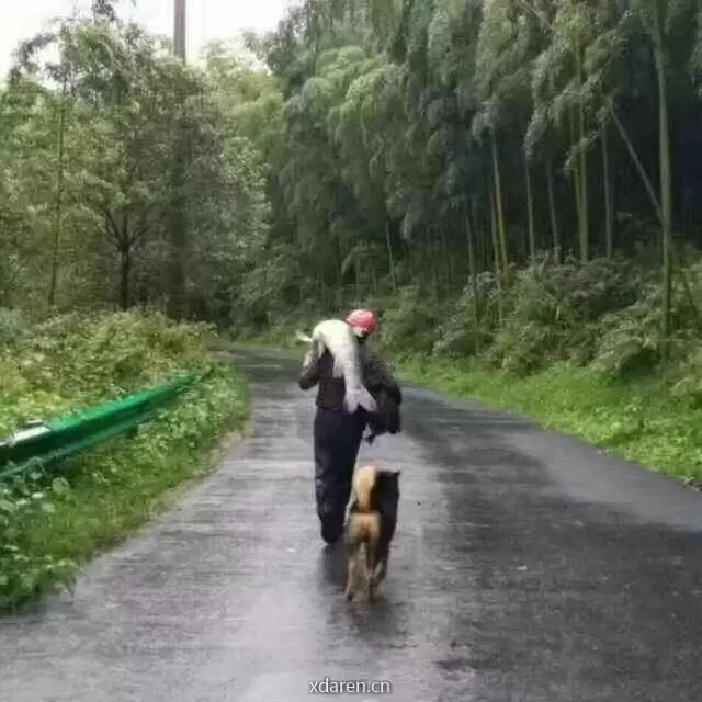顽主杯实盘大赛