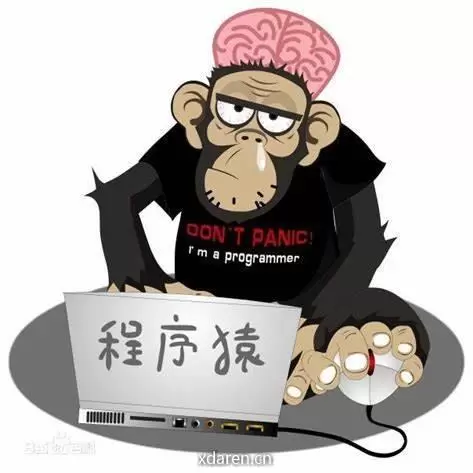 不正经的码农