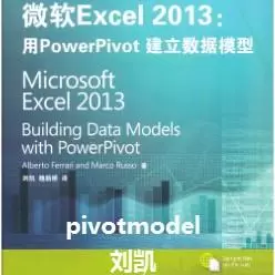 Excel商务智能PowerPivot