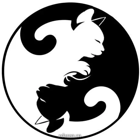 猫奴日记