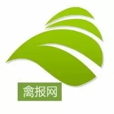 禽报网