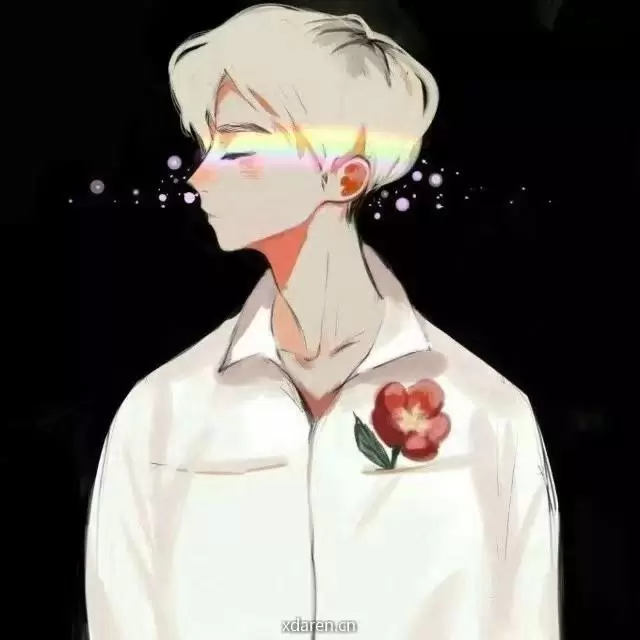 叶文稿看星星