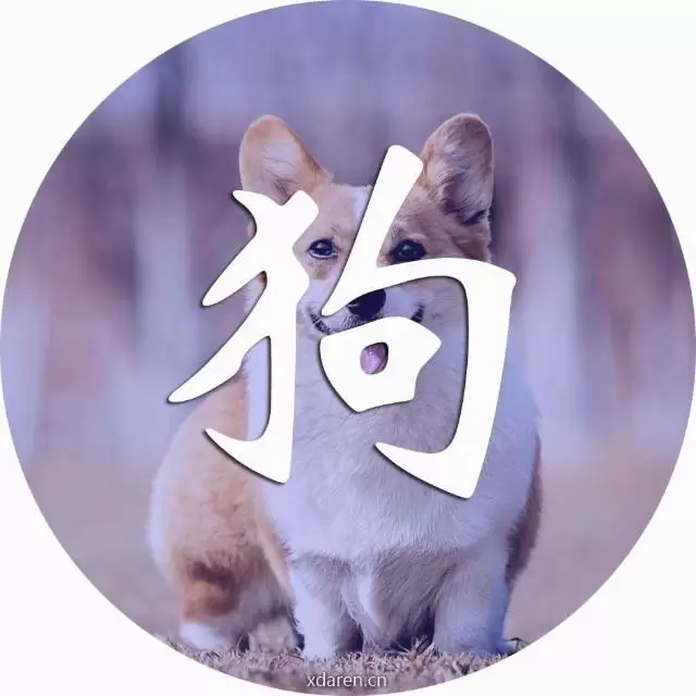 戌之狗