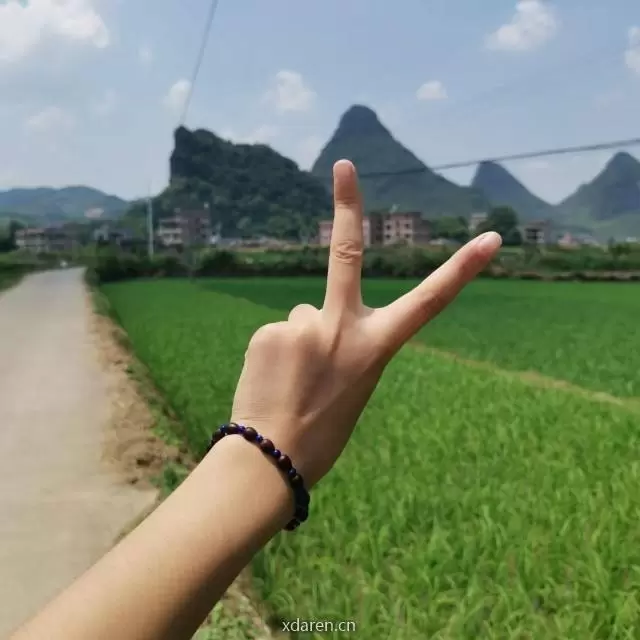 叮铃当啷聊生肖