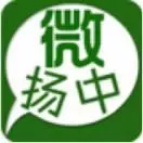 微扬中