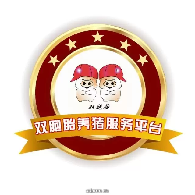 双胞胎集团