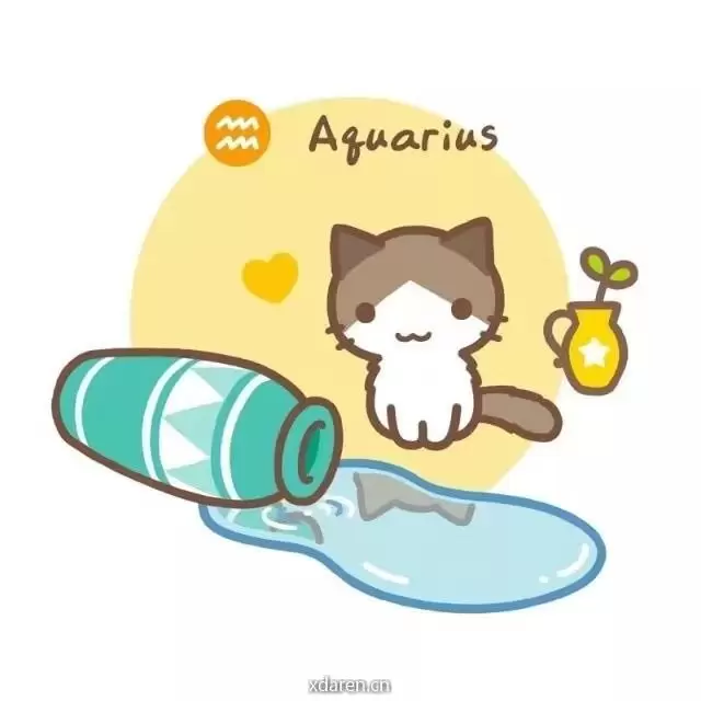 水瓶心理