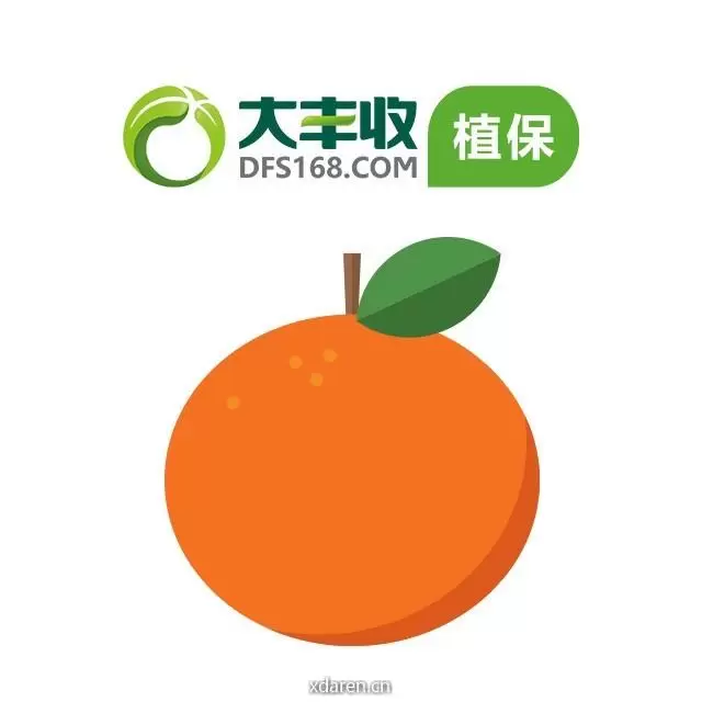 大丰收柑橘号