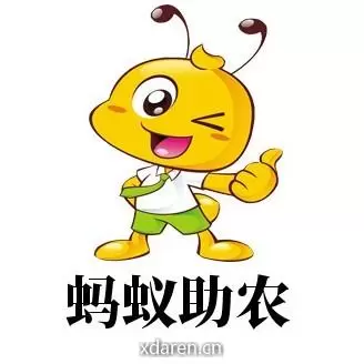 蚂蚁助农