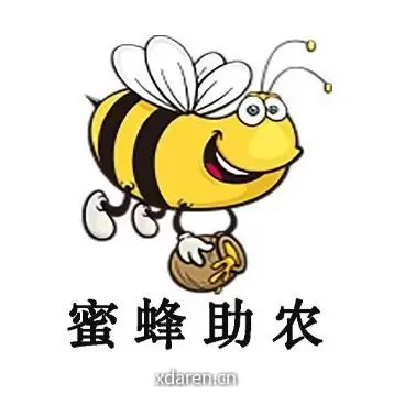 蜜蜂助农