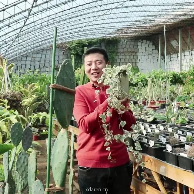 养花匠小齐