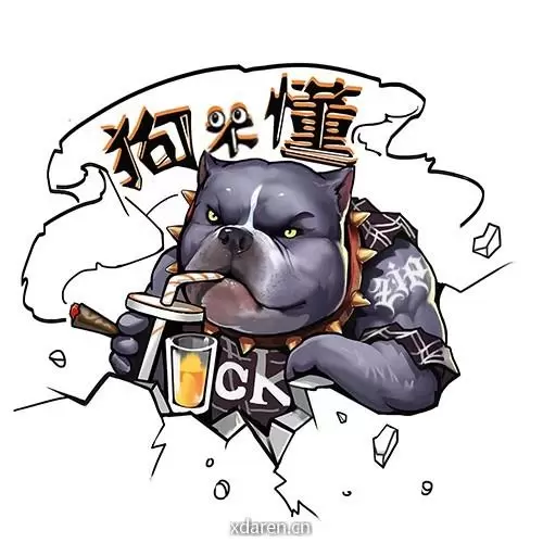 狗不懂