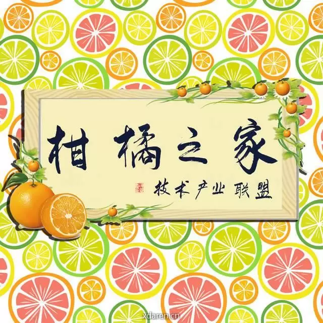 柑橘之家技术产业联盟