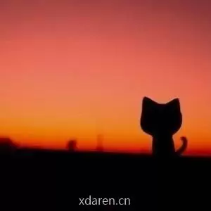 叶之程s