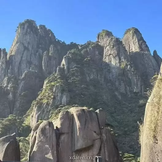 妍舍星座