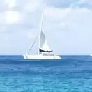 谢先生的那片海