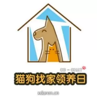 猫狗找家领养日