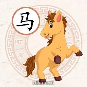 谈谈马运