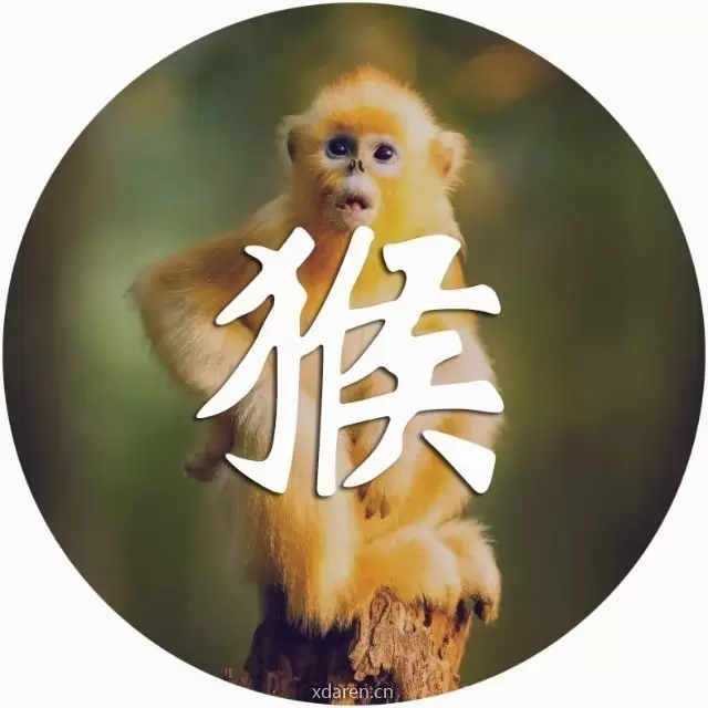 申之猴