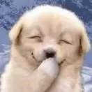 搞笑幽默短视