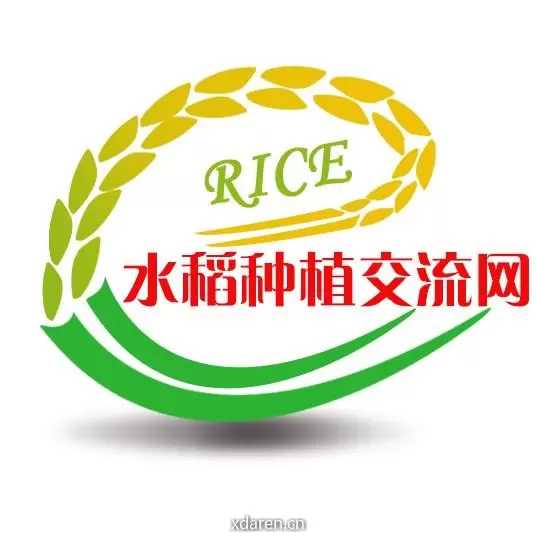 水稻种植交流网