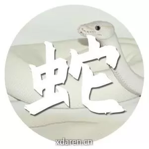 生肖蛇运势天天看