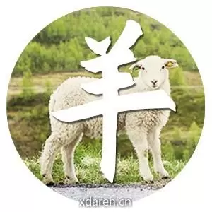 生肖羊运势大全